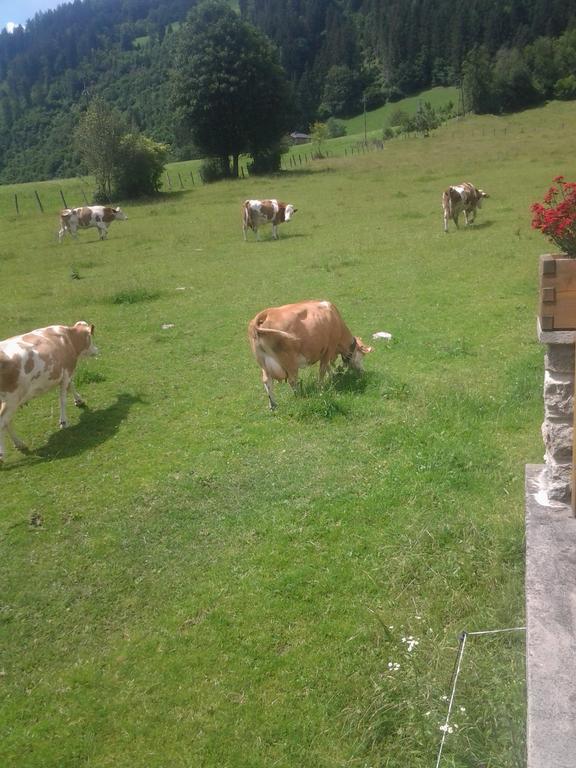 Ferienwohnungen Behamhof Neukirchen am Großvenediger Exteriér fotografie